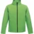 Extreme Green/​Black